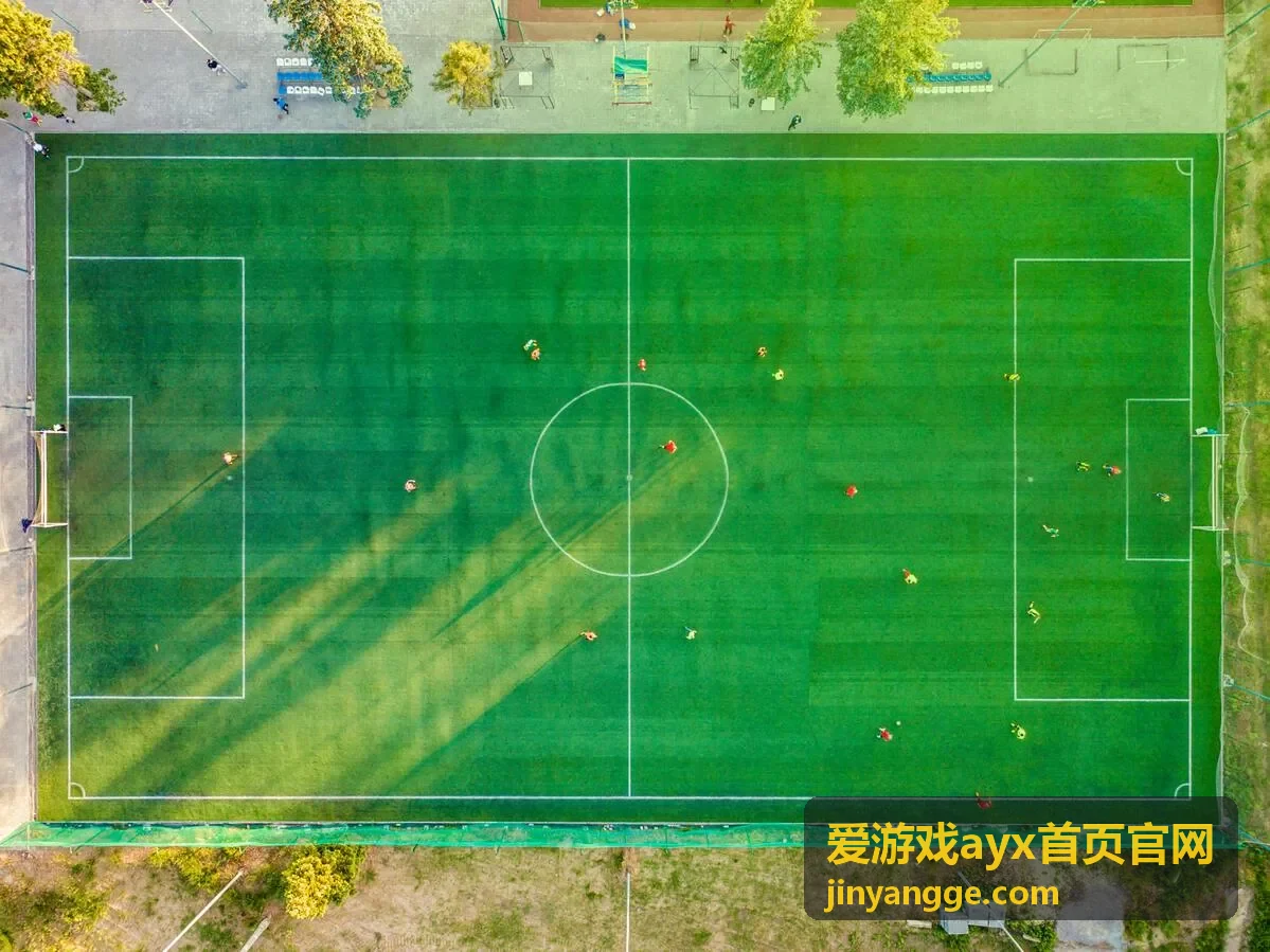 爱游戏ayx首页官网会员专区栏目封面五